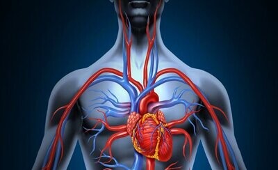 Tensió Arterial