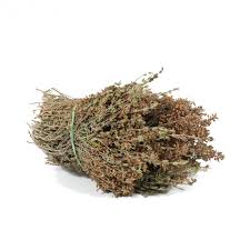 Farigola