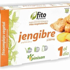 Fito Premium Gingebre