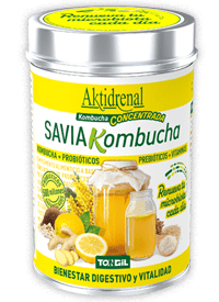 Savia Kombutxa