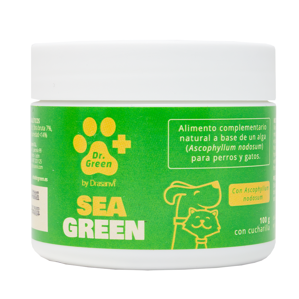 Seagreen