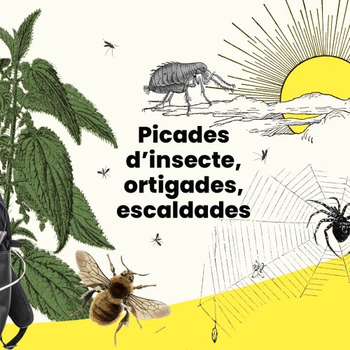 Petó de mare ungüent 15ml - Imagen 2