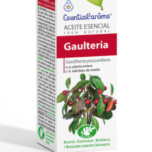 AE Gaulteria