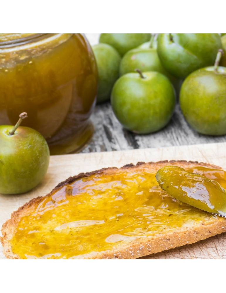 Melmelada Pruna - Imatge 2